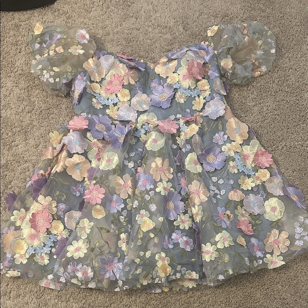 Floral Embroidered Mini Dress